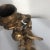 Late 19th Century Cherub Bronze for Oil & Wick For Sale - Image 4 of 6
