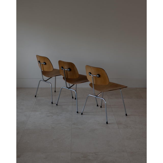 1950s Charles and Ray Eames DCM Dining Chairs by Herman Miller, Usa For Sale - Image 11 of 13