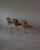 1950s Charles and Ray Eames DCM Dining Chairs by Herman Miller, Usa For Sale - Image 11 of 13