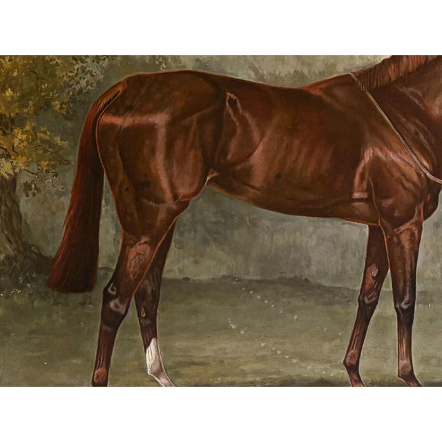 Textile 1961 "Sweet Solera" Large Vintage Equestrian Horse Painting Oil on Canvas by Juliet McLeod For Sale - Image 7 of 14