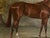 Textile 1961 "Sweet Solera" Large Vintage Equestrian Horse Painting Oil on Canvas by Juliet McLeod For Sale - Image 7 of 14