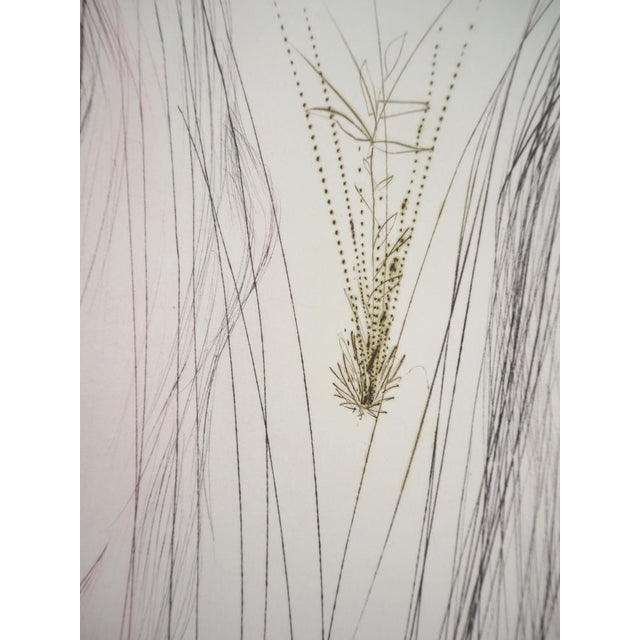 Salvador Dali, The Giant Beliagog, Original Etching For Sale - Image 3 of 7