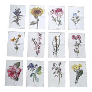 Antique 19th Century Edward Hulme Botanical "Garden Flowers" Lithographs - Set of 12 - Super Price!
