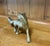 Few animals are as closely woven into the imagery of the English countryside as the fox. Glimpsed crossing a field at...