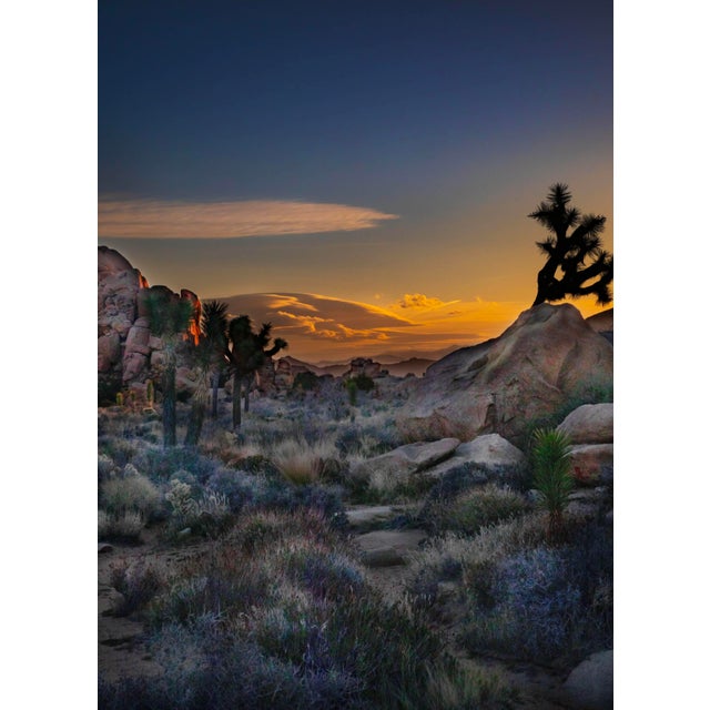42" Signed Limited Edition Photographic Print by Glenn Daidone / Desertscape / Landscape /Almost Dark For Sale