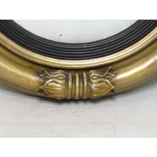 English Regency Giltwood Convex Mirror For Sale - Image 18 of 18