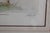 Traditional 1990s Sandy Scott Signed Etching Rooster Chicken Limited Edition Framed Art Dominick For Sale - Image 3 of 7