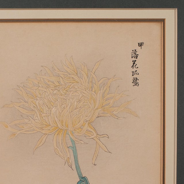 3 Vintage Botanical Pictures, Japanese, Woodblock Print, After Hasegawa, Art For Sale - Image 11 of 12
