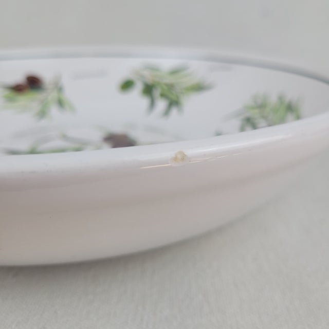 Ceramic Late 20th Century Williams Sonoma Olea Europaea Pasta Serving Bowl Olive Branch 13 Inch For Sale - Image 7 of 9