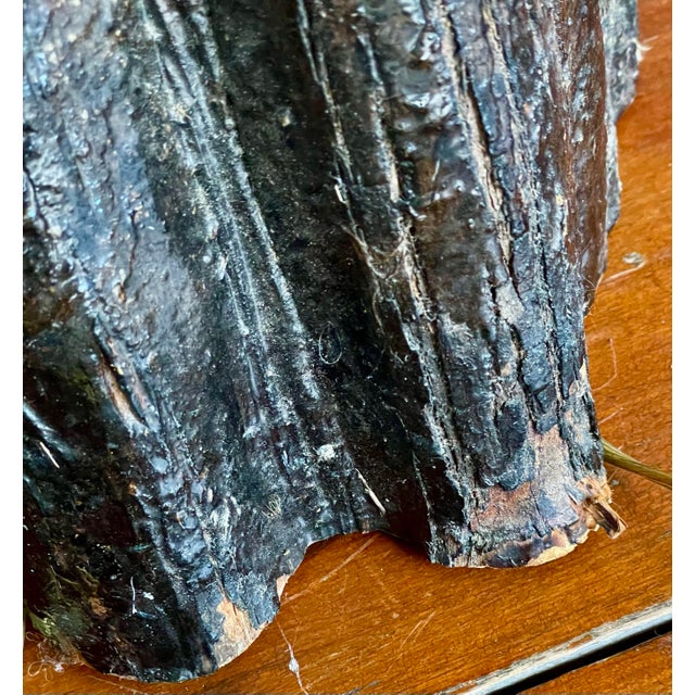 Wood Mid 20th Century Adirondack Cabin Rustic Style Handmade Burl Wood Table Lamp Bark Clock Lacquered For Sale - Image 7 of 12