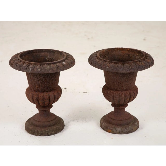 Pair of Cast Iron Urns, French 19th Century For Sale - Image 13 of 13