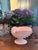 Late 20th Century Vintage Mid-Century Wedgwood "Alpine Pink" Nautilus Shell Footed Centerpiece Vase For Sale - Image 5 of 9