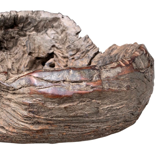 Massive Burl Wood Bowl For Sale - Image 9 of 12
