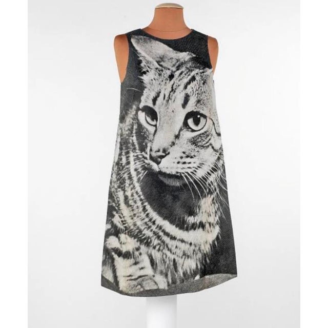 Pop Art Rare Sealed 1st Edition London Series Cat Poster Dress by Harry ...