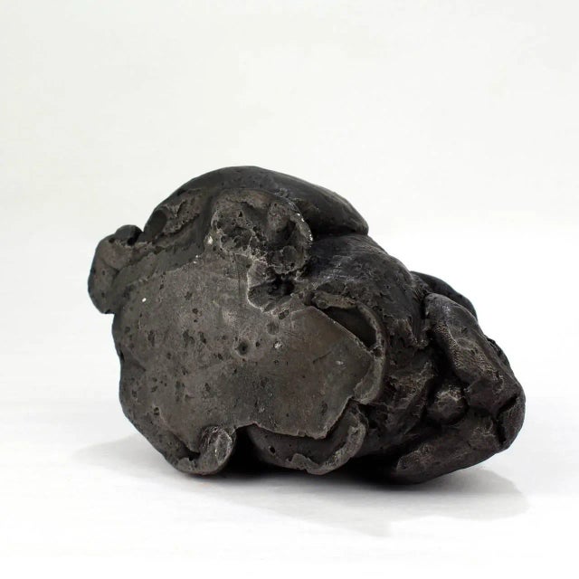 2016 Black Gesso & Raw Graphite Resin Sculpture "Pygmy Rabbit" by Darla Jackson For Sale - Image 9 of 11