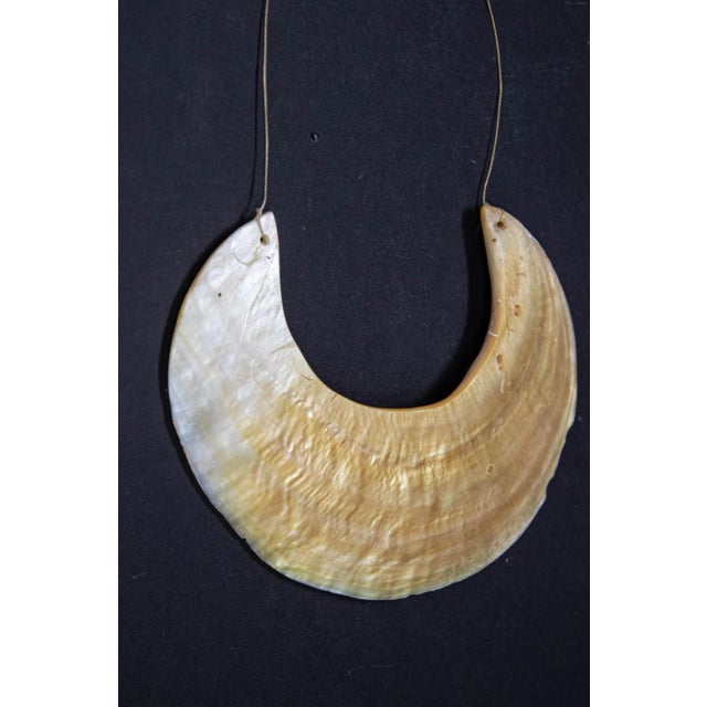 Antique Ethnic Tribal Kina Crescent Shell Necklaces Papua New Guinea Set of 3 For Sale - Image 10 of 12