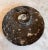 Orthoceras Fossil Round Plate With Ammonite Ring For Sale - Image 4 of 11