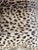 2020s Leopard Pillow For Sale - Image 5 of 6