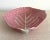 Boho Chic Vintage Pink Cabbage Leaf Majolica Serving Bowl For Sale - Image 3 of 8