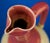 19th Century Art Nouveau Majolica Ceramic Jugs attributed to Sarreguemines or Lunéville, France, Set of 3 For Sale - Image 10 of 18