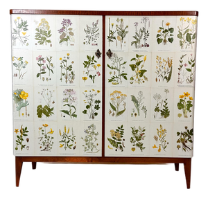 1940’s Swedish Cabinet With Nordens Flora Illustrations