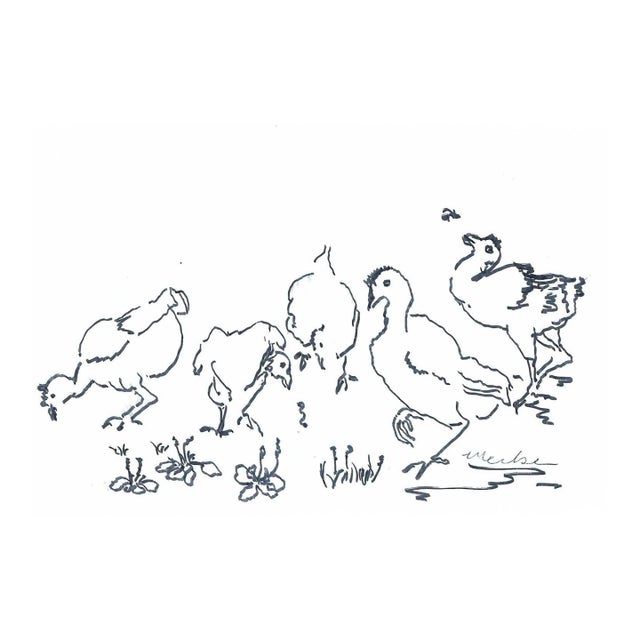 1960s Alexandra Merker Chickens Drawing For Sale