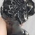 Mid 20th Century Mid 20th Century Hutschenreuther Black Poodle Figurine Sitting Hans Achtziger Germany Vintage For Sale - Image 5 of 12