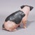 1930s Swabian Hallic Country Pig Made of Terracotta For Sale - Image 4 of 5