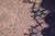 1990s Shabby Chic Vintage 1990's Blue/Brown Wool Rug - 9'10'' X 12'8'' For Sale - Image 5 of 10