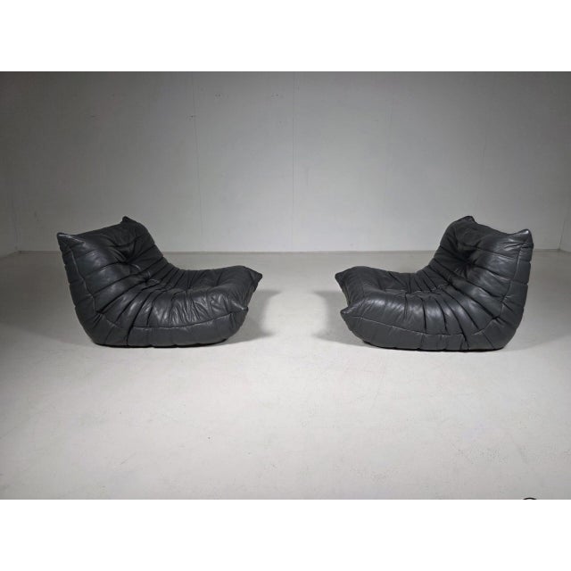 Grey/Blue Togo Chairs by Michel Ducaroy for Ligne Roset, 1980s, Set of 2 For Sale - Image 3 of 10