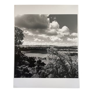 Vintage Americana Black and White Photograph of Napa, California Landscape For Sale