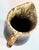 Mid 20th Century Farmhouse Brown Drip Pitcher For Sale - Image 5 of 12