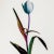 Not Yet Made - Made To Order Guy Sargent, Tulip Mania, Print For Sale - Image 5 of 6