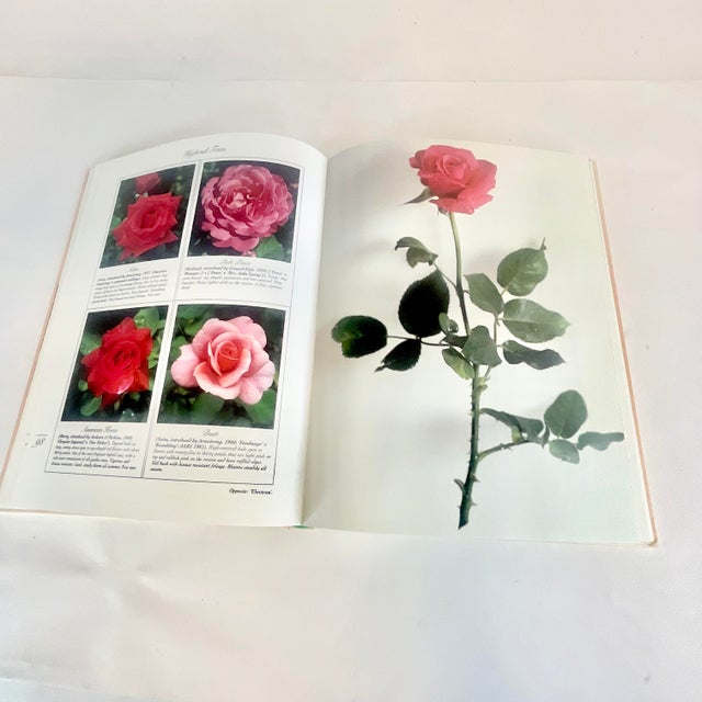 1990s Americana “Roses of America” Gardening Book, 1990 Henry Holt & Co. For Sale - Image 5 of 9