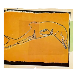 1986 Andy Warhol La Plata River Dolphin Vanishing Animals