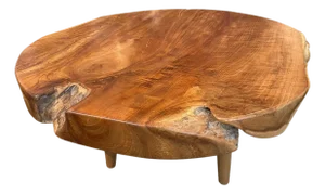 Andrianna Shamaris Mid-Century Style Organic Coffee Table