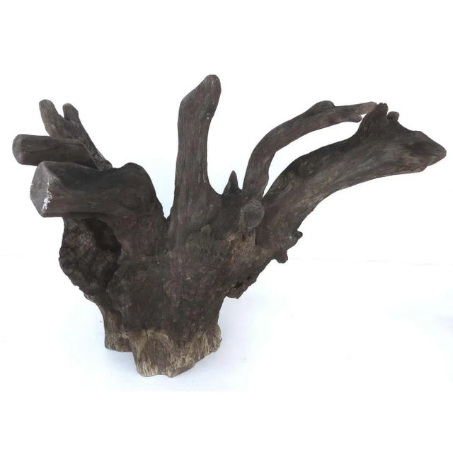Gray Organic Studio Sculptural Tree Trunk Root Chair From Belgium For Sale - Image 8 of 10