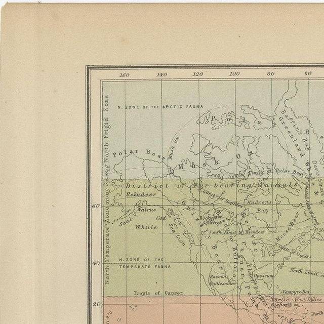 Paper Antique Chart of the World, 1870 For Sale - Image 7 of 12