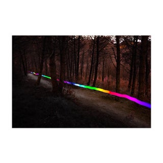 Artur Debat, Trail Following Footpath at Dusk Between the Mediterranean Forest, Photograph For Sale
