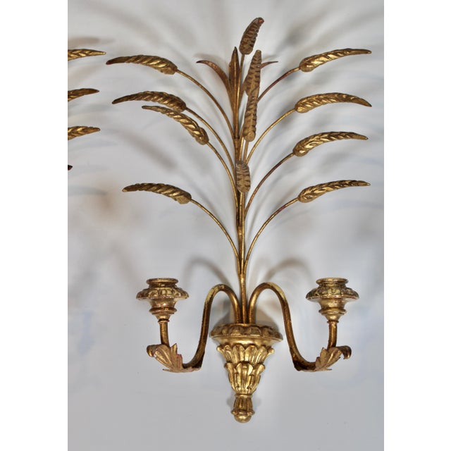 Antique Italian Golden Gilt Wheat Sconces For Sale - Image 4 of 12
