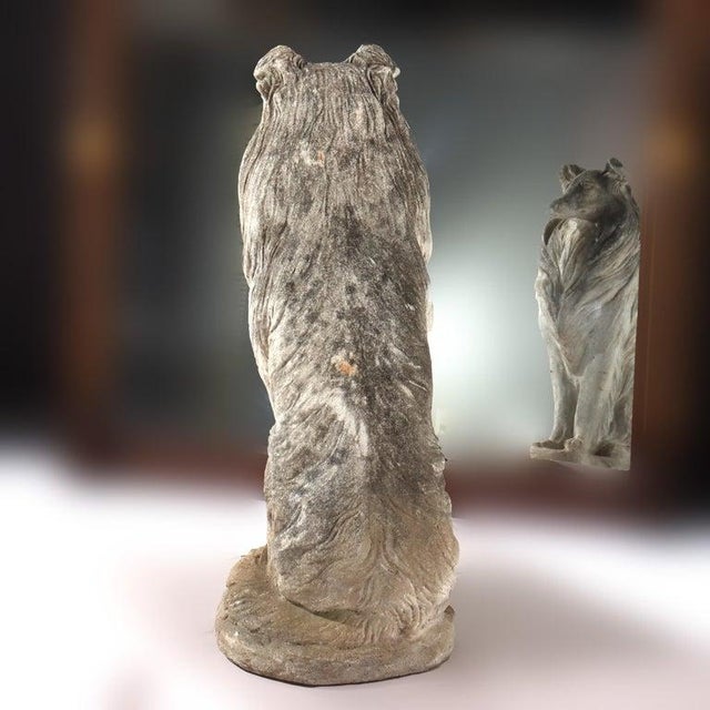 1950s Hardstone Life Sized Collie Dog Garden Statue For Sale - Image 6 of 9