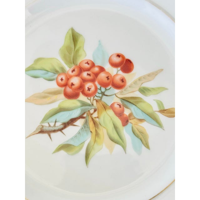 This exquisite antique plate features a beautifully detailed illustration of berries and leaves, accentuated by a delicate...