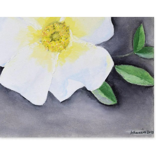 Rosa Bracteata is an original artwork realized by Marzia Trinca in 2019. Original colored oil painting. Hand-signed and...