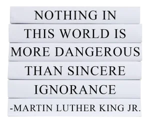 Decorative Books - Quote Book Stack - "Dangerous Ignorance"