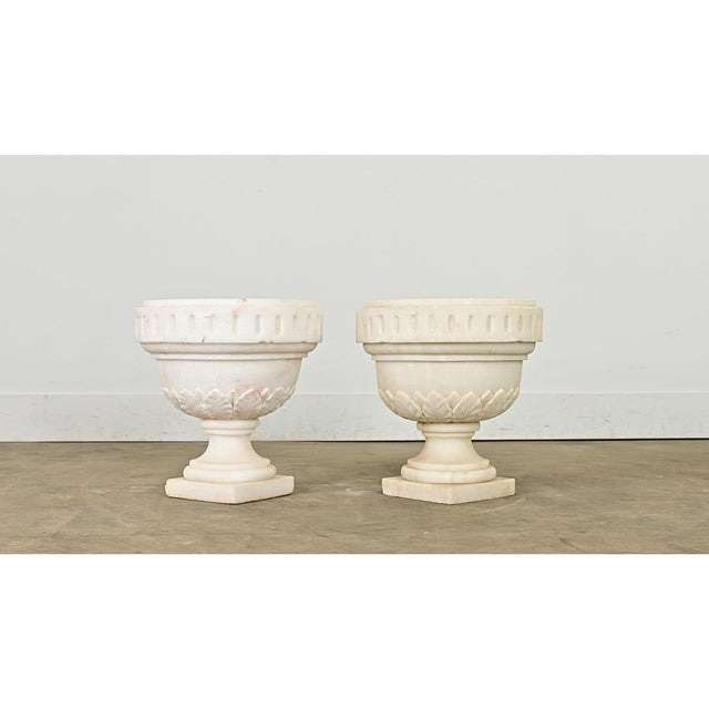 White Portuguese 19th Century Pair of Carved Alabaster Urns For Sale - Image 8 of 10