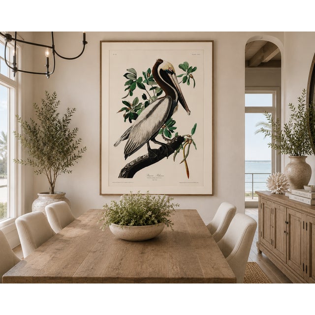 Brown Pelican by Audubon, Vintage Art Print Reproduction, 32" X 48" For Sale - Image 10 of 12