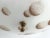 White Modern Clover Moons Flush Light For Sale - Image 8 of 18
