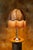 Mary Lampshade Handmade in England The Mary Lampshade is a love letter to 1970s glamour. Handmade in England by Tinker &...