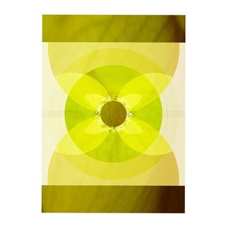 Paul Cooklin, Abstraction 1097, Edition of 50 For Sale