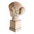 Greco-Roman Artist, Female Bust, 1960, Plaster For Sale - Image 4 of 7